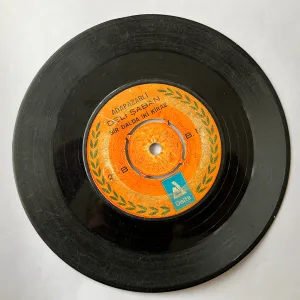 adapazarli deli saban 001