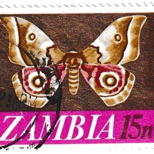Zambiya (ZAMBIA) 1971 Büyük Güve Pulu - Online Mezatta!