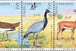 Yaban Hayatı Koruma 1979 Türkiye Posta Pulları - mezat.martcini.com'da!