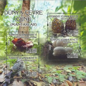 Mantarlar - Dünya Çevre Günü 2015 Türkiye Posta Pulları - mezat.martcini.com'da!