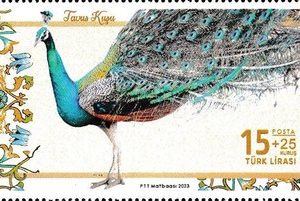 Kuşlar - Tavuskuşu 2023 Türkiye Posta Pulları - mezat.martcini.com'da!