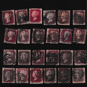 24 Adet Red Panny Pulları