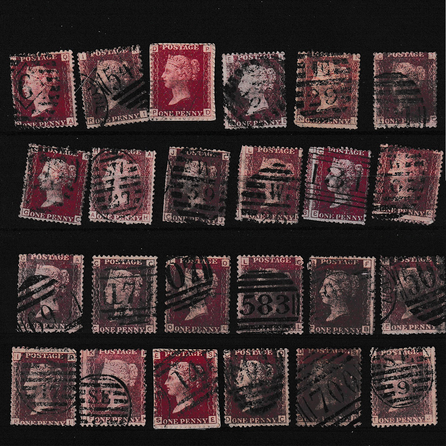 24 Adet Red Panny Pulları 1 24 Adet Red Panny Pulları