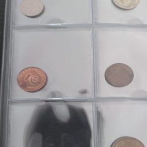 WhatsApp Image 2025 11 01 at 15.51.46