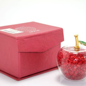 Dekoratif Cam Küre Model 2