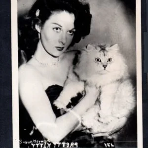 klikyayeni 158 1 1.jpg